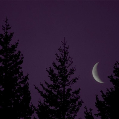 Moonlight Lullaby - Single