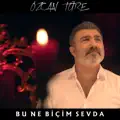 Bu Ne Bicim Sevda