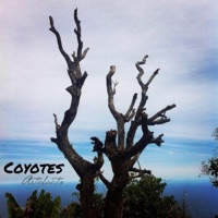 Artefacto - Single - Coyotes