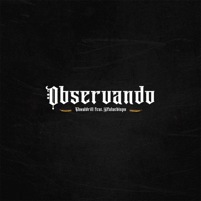 Observando (feat. @falaebispo) - Single