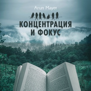 Концентрация и фокус