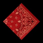 Red Bandana artwork