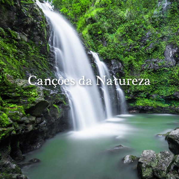 Canções da Natureza: Música Relaxante para Meditação e Relaxamento, Alívio do Estresse, Sono Saudável