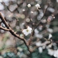 you look like you are fine - Single - nilöwh.