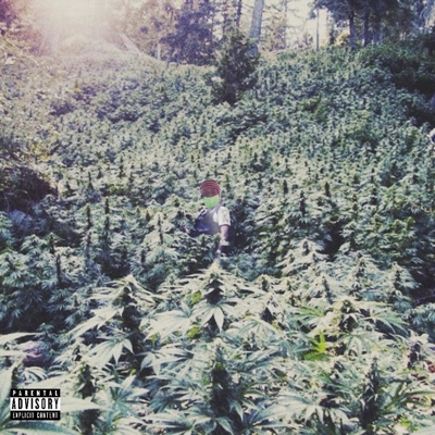 A Stoner's Paradise - EP