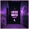 I Never Wanted - Single