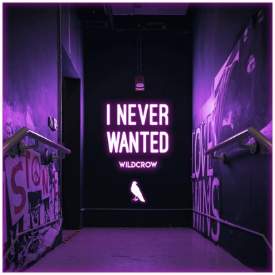 I Never Wanted - Single