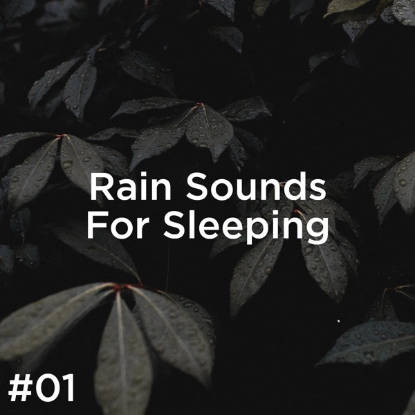 #01 Rain Sounds for Sleeping