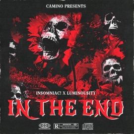 IN THE END (feat. LUMINOU$ITY) IN$oMNIAC!