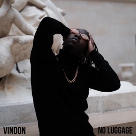 No Luggage Vindon