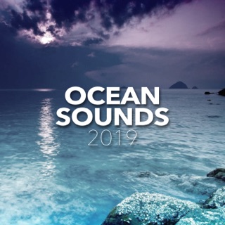Ocean Sounds 2019