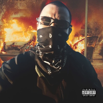 Nós É a Cara do Vandal - Single