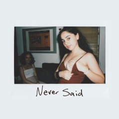 Never Said - Single