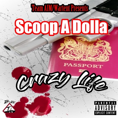 Crazy Life - Single