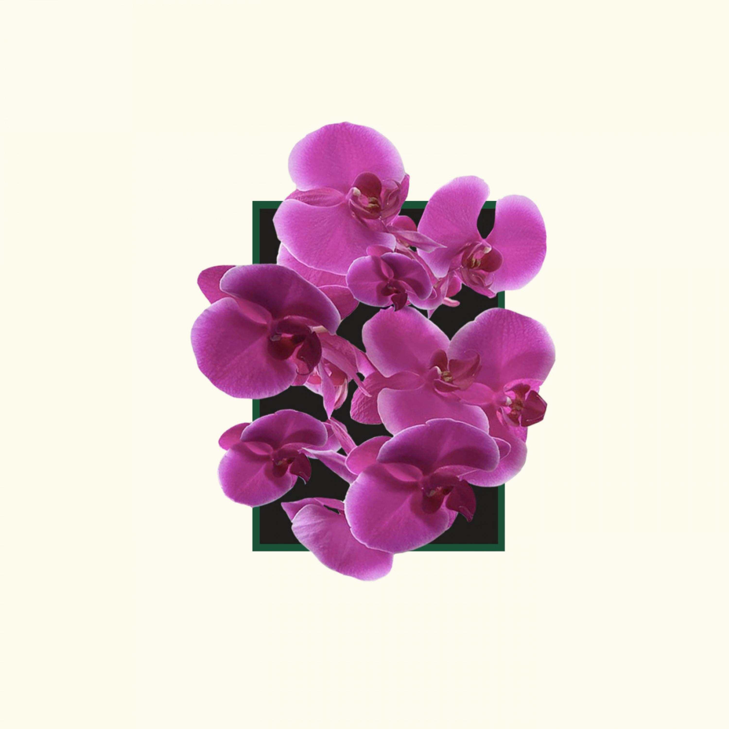 Tonos - Single