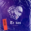 Te Vas (feat. Shanty Boy) - Single