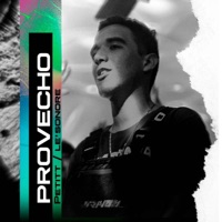 Provecho - Single - Petitt