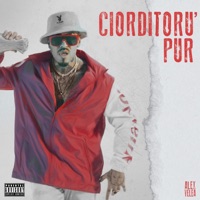 Ciorditoru' Pur - Single - Alex Velea