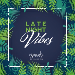 Late Night Vibes: Ibiza Party Mix, Top 100, Best Chill Hits, Lounge Background Music