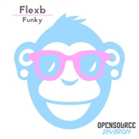 Funky - Single - FlexB