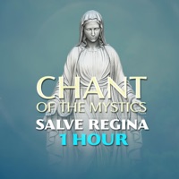 Salve Regina (1 Hour Chant of the Mystics) - Patrick Lenk