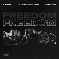 Freedom - Single - Piques, Young Emotion & Lash