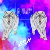 Runaway - Single