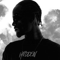 Topo do Mundo - Single - Haidden