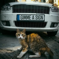 Gimme a Sign (feat. Gnossienne) - Single - Invisible Shivers