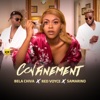 Confinement (feat. Bela Chiva & Samarino) - Single