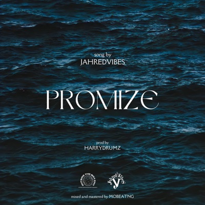 Promize - Single