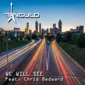 We Will See (feat. Chris Bedward) artwork