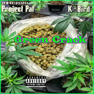 Green Crack - Single - Project Pat