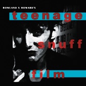 Rowland S. Howard - Silver Chain