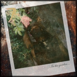 In This Garden Type: V