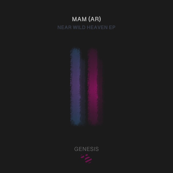 Near Wild Heaven - Single