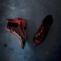 LE KING DE LA DANSE EN LIGNE