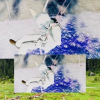 Horror Store - Single - David Shawty