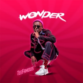 Wonder TeeFamous
