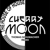 The House of House (Thomas Schumacher Remix) artwork