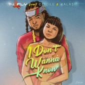 I Don't Wanna Know (feat. Ce'Cile & Kalash) artwork