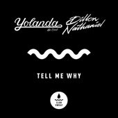 Yolanda Be Cool/Dillon Nathaniel - Tell Me Why