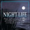 Mysteries of the Night - Clive Lendich lyrics