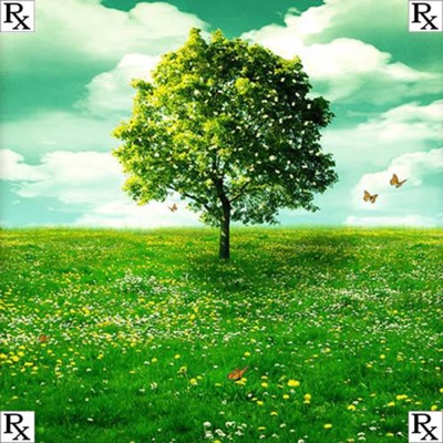 Spring Tape (Re-Release)