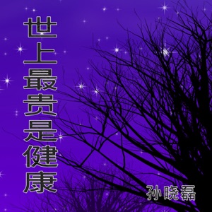 Sun Xiao Lei (孫曉磊) - Shi Shang Zui Gui Shi Jian Kang (世上最貴是健康) - Line Dance Music