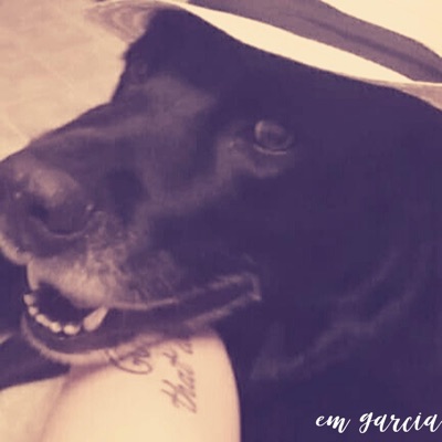 Strolling in the Park - Single