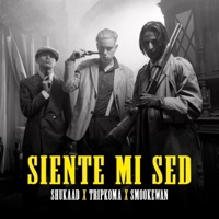 Siente Mi Sed (feat. Smookewan & Tripkoma) - Single - Shukaad