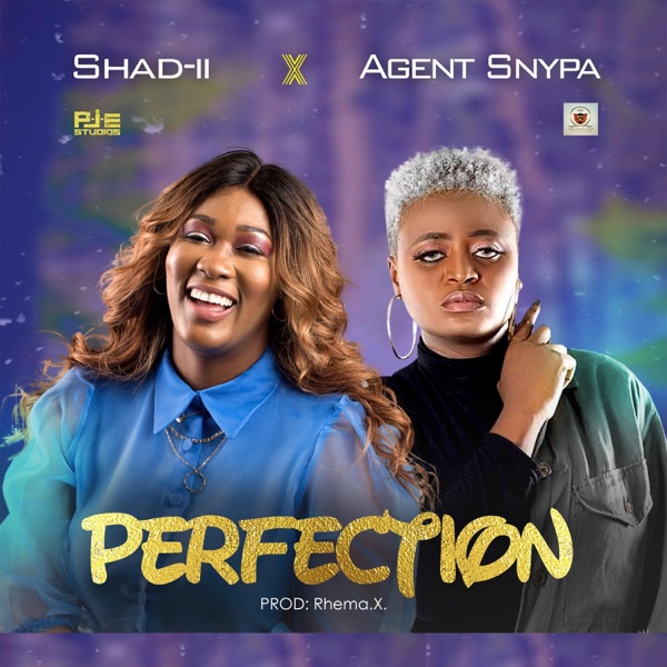 Perfection (feat. Agent Snypa)