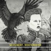 Philippe Sly Winterreise, D. 911 (Arr. for Voice and Chamber Ensemble): 11. Frühlingstraum Schubert: Winterreise
