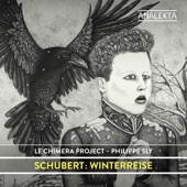 Schubert: Winterreise artwork